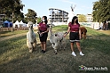 VBS_8137 - Inaugurazione 72.ma Fiera del Peperone di Carmagnola